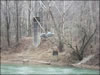 My Gallery: Image